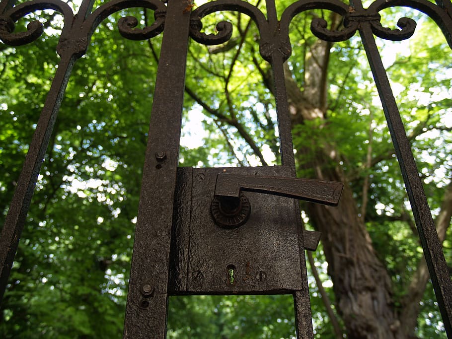 Goal, Castle, Input, Old Gate, metal gate, fence, iron gate HD wallpaper