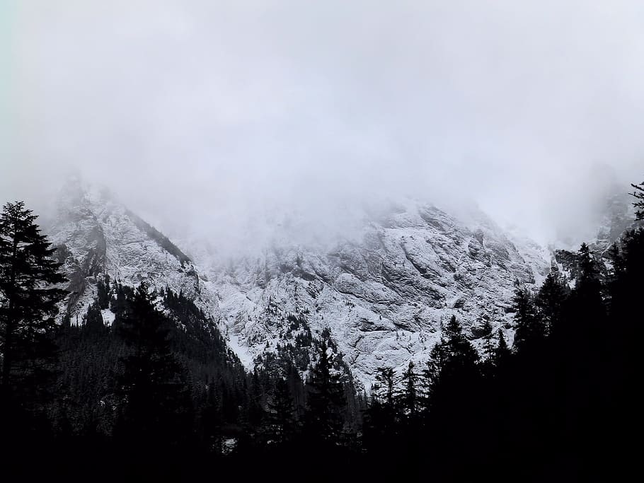 mountains, snow, forest, winter, the fog, clouds, rocks, tatry HD wallpaper