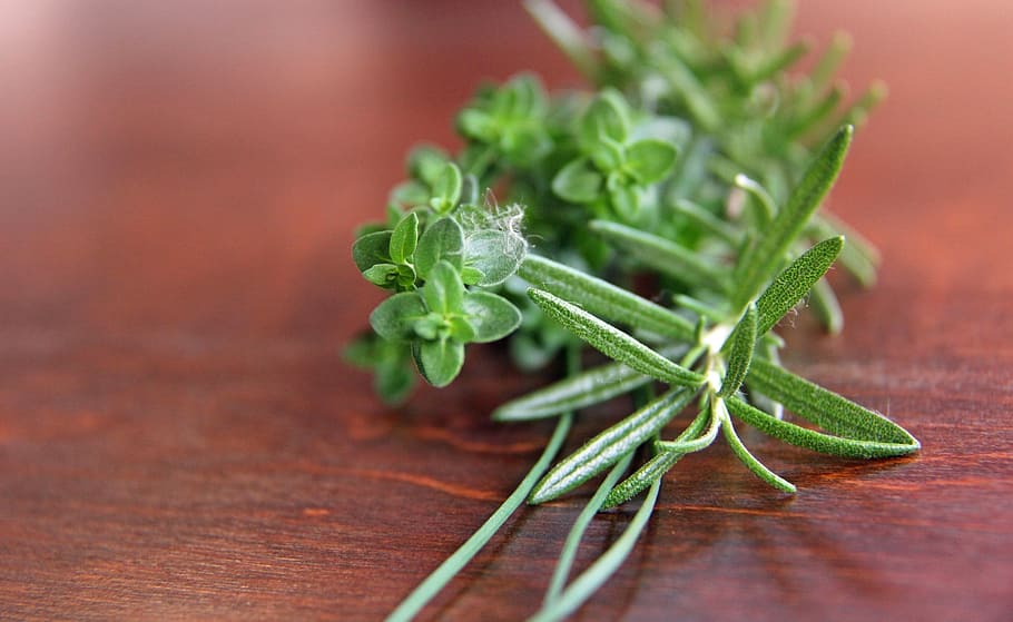 green leafed plant, herbs, rosemary, parsley, thyme, chives, cooking