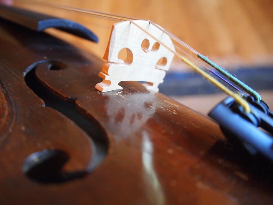 violin, music, instrument, classical, stringed, sound, musician HD wallpaper