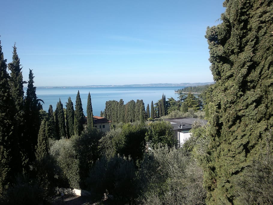 garda, trees, lake, sky, view, water, mood, plant, nature, growth HD wallpaper