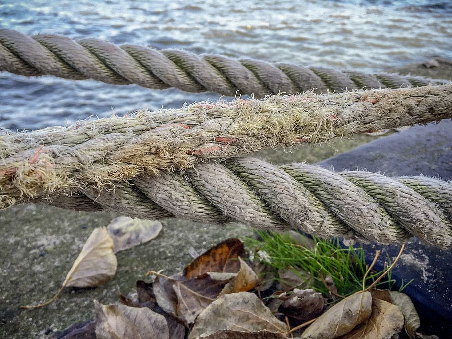 rope, knot, ship, dew, knotted, knitting, cord, twisted ropes HD wallpaper