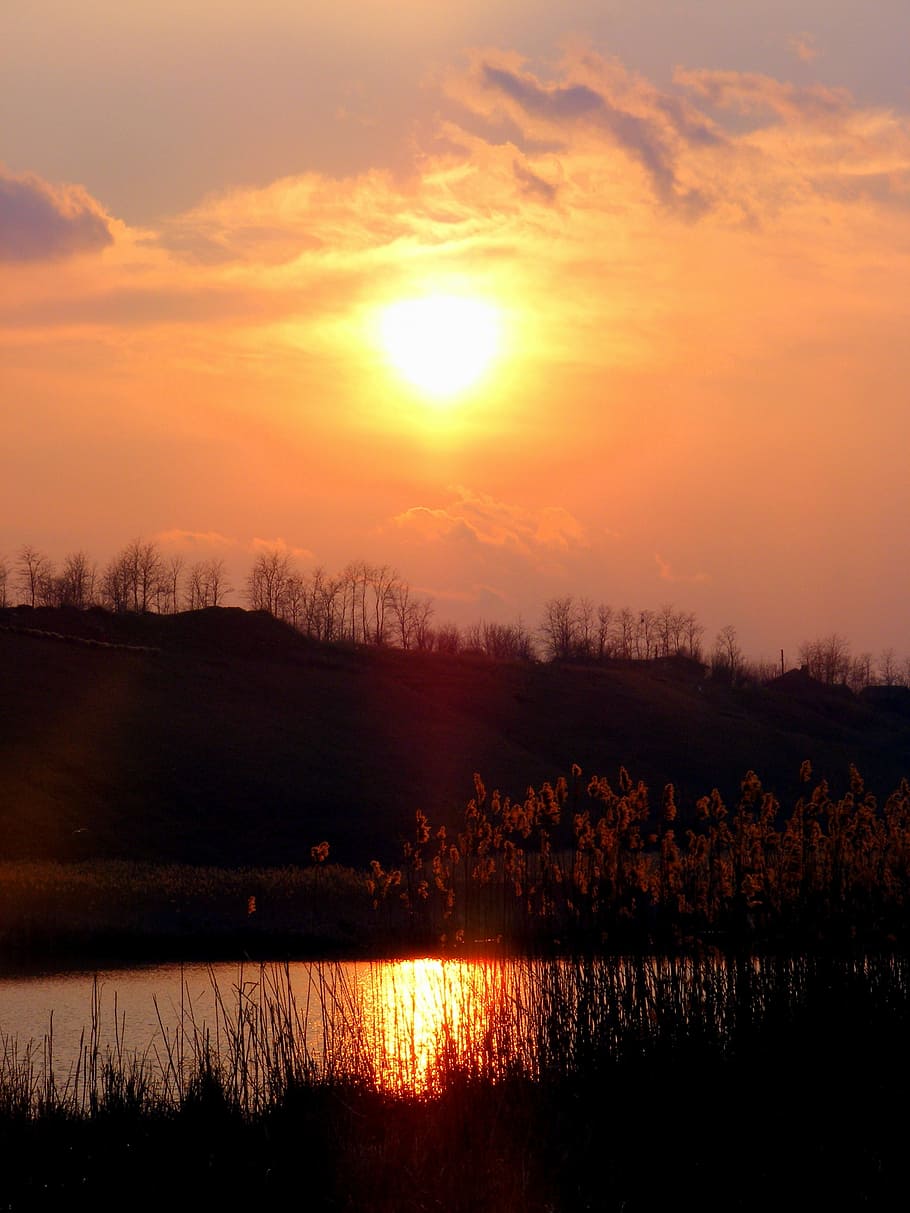 sunset, lake, cane, reflection, sky, red, beauty, evening, nature HD wallpaper