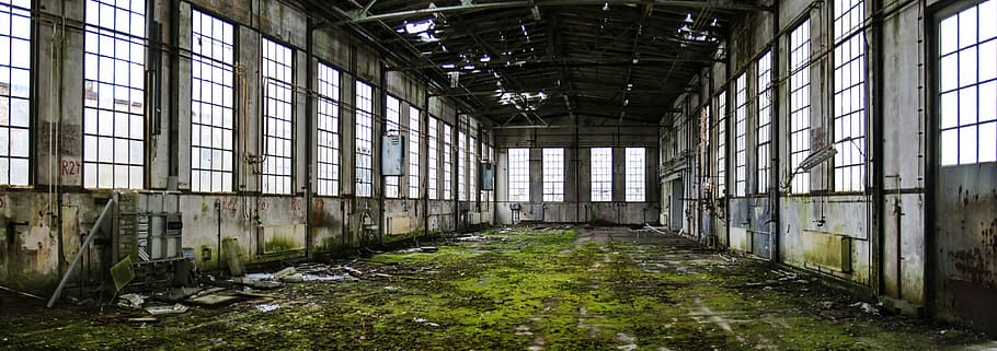 green moss inside room, ruin, hall, lapsed, decay, leave, old factory, HD wallpaper