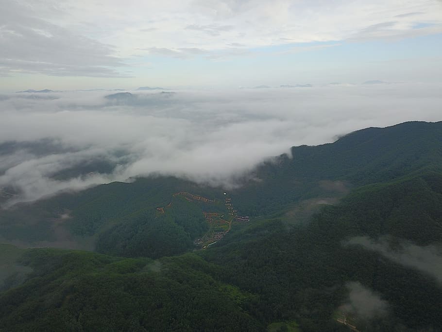 forest, cloud, clouds continue to, scenics - nature, beauty in nature, HD wallpaper