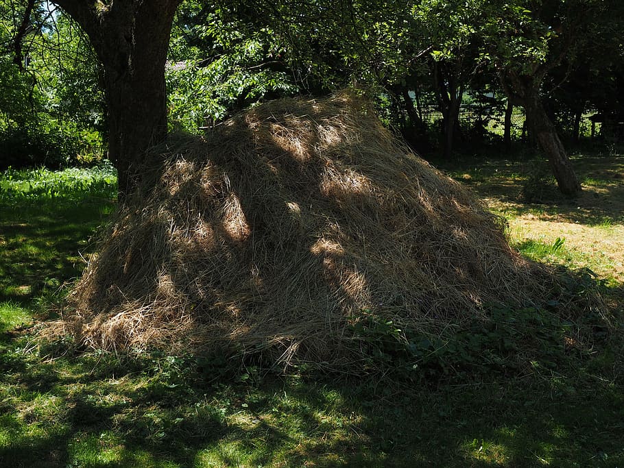 haystack, grass pile, meadow, garden, nature, tree, outdoors HD wallpaper