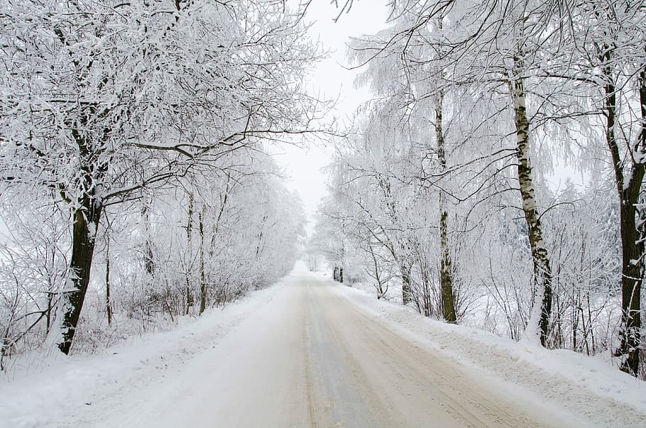 Frozen wintry road in the country, snow covered trees, winter HD wallpaper