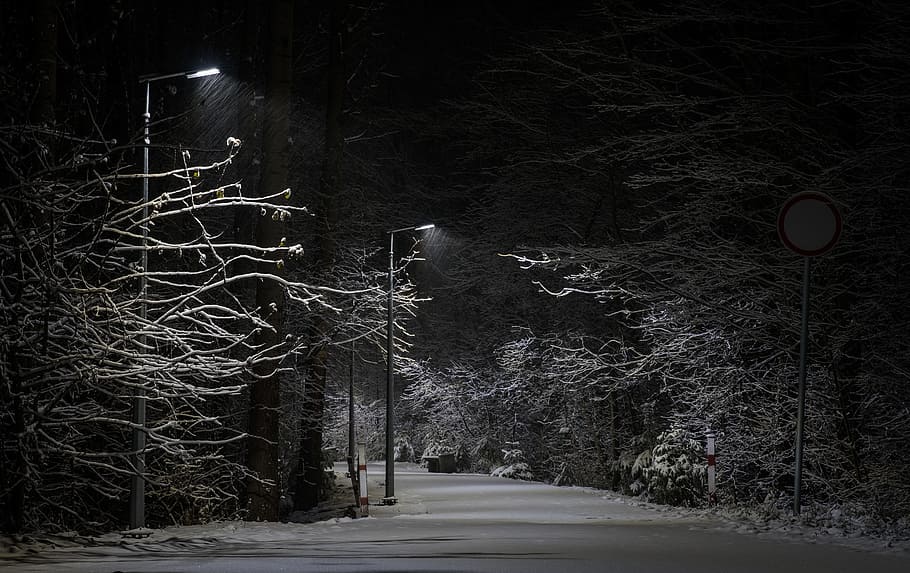 darkness, tree, no one, nature, outdoors, night, park, road HD wallpaper