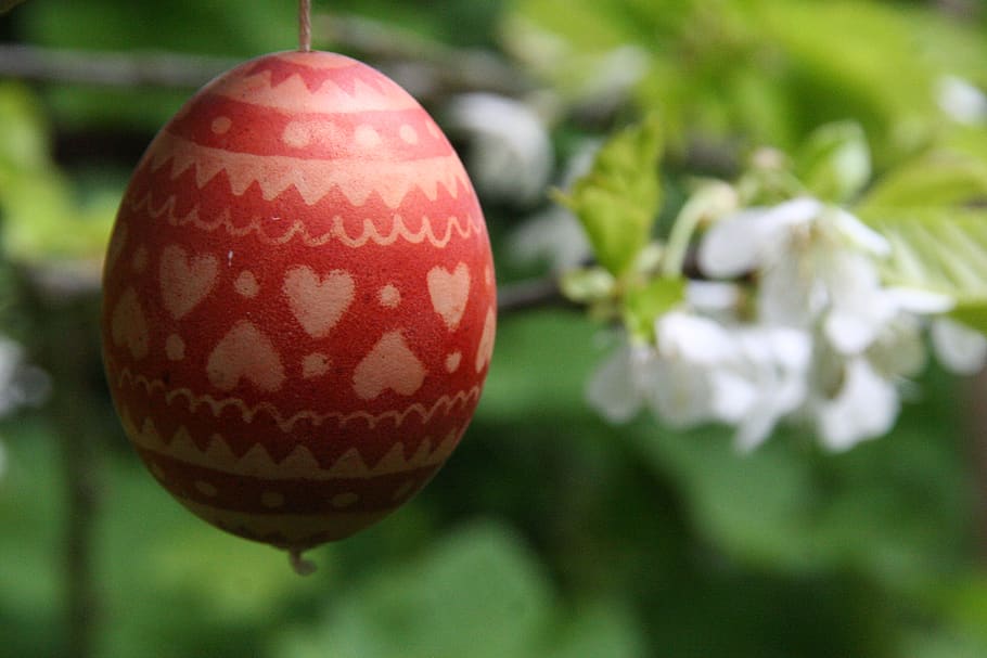 easter egg, spring, garden, flowers, heart, close-up, holiday HD wallpaper
