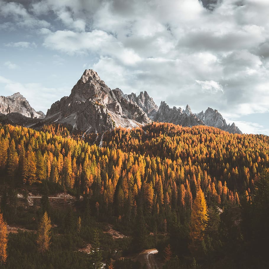 mountain ranges surrounded with trees, landscape photo of mountain HD wallpaper