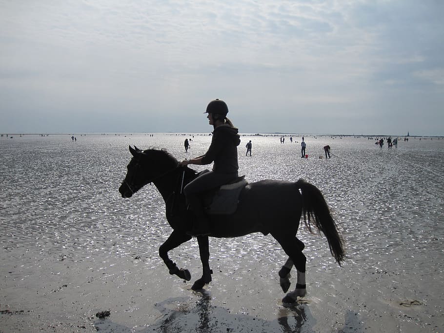 Beach, Reiter, Atlantic, horse, horseback riding, domestic animals, HD wallpaper