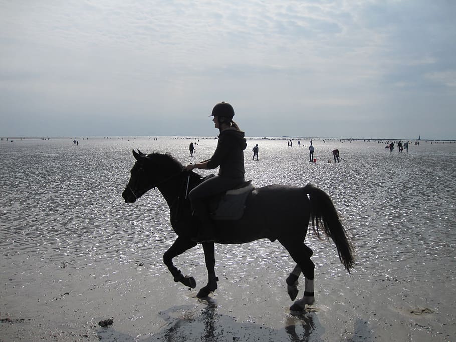 Beach, Reiter, Atlantic, horse, horseback riding, domestic animals HD wallpaper