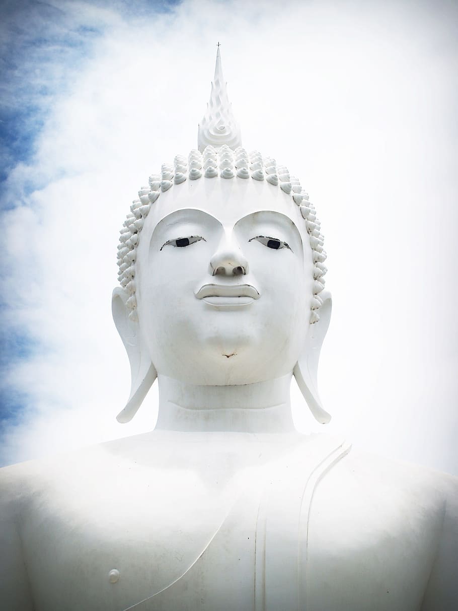 closeup photo of Buddha statue, india, mind, prayer, concept HD wallpaper