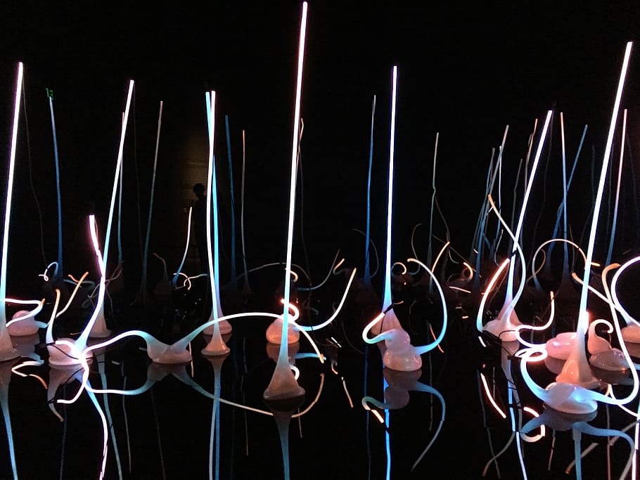 lights, arts, museum, decorative, reflective, night, group of people HD wallpaper
