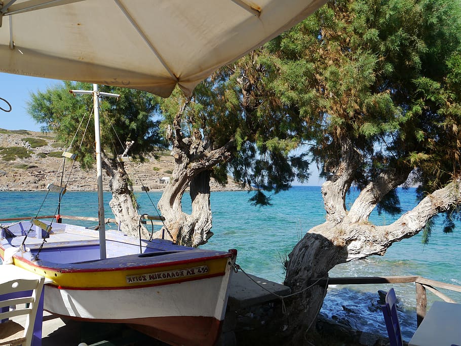 sea, boat, olive tree, crete, water, vacations, plant, nautical vessel, HD wallpaper
