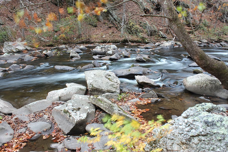 rock, rocks, river, riverbed, nature, stream, forest, autumn HD wallpaper