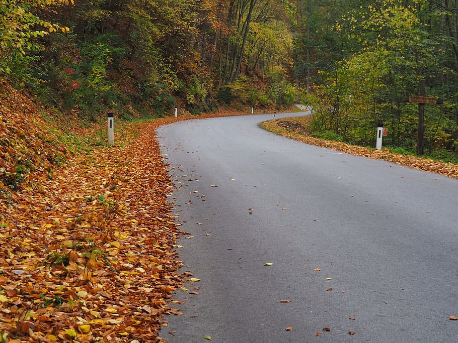 road, speed, traffic, movement, locomotion, roadway, leaves HD wallpaper