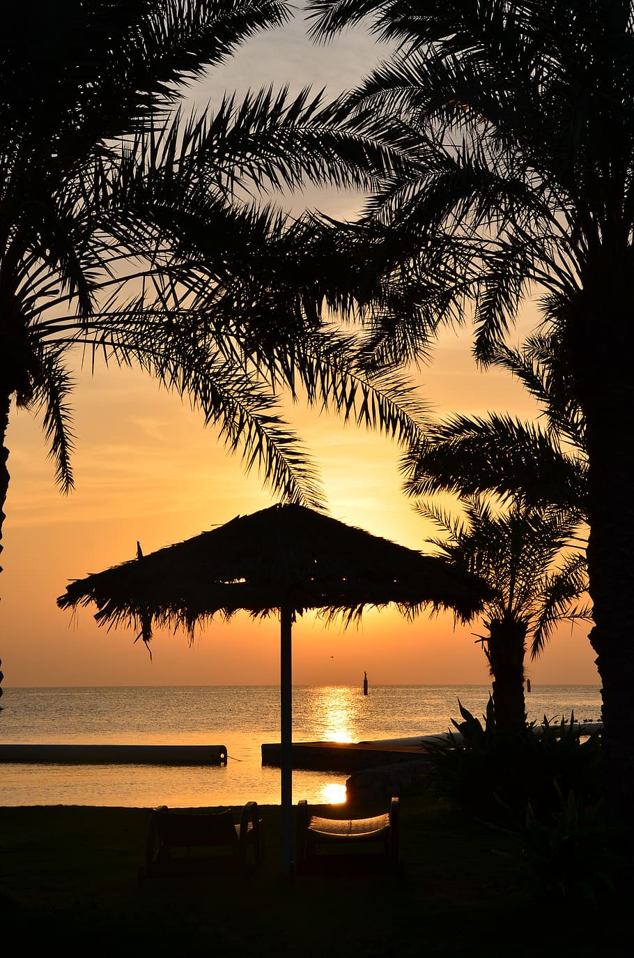 palm, dawn, landscape, tropical, silhouette, tree, sky, water HD wallpaper