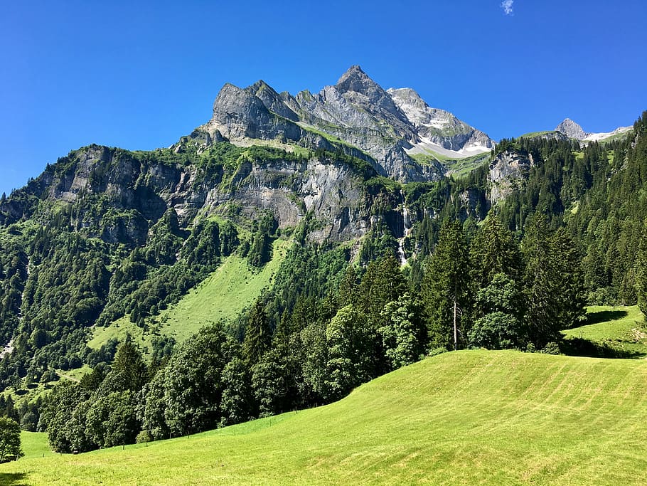 green trees on hill under blue sky, mountain, landscape, glarus HD wallpaper
