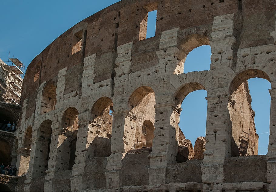 rome, coliseum, amphitheater, gladiator, arena, history, the past HD wallpaper