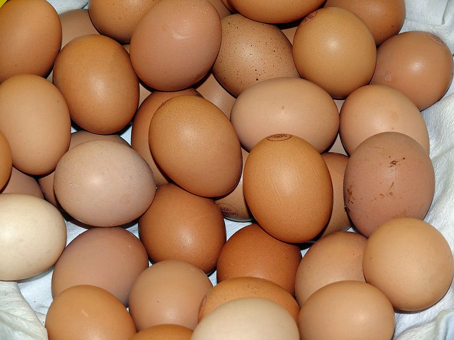 egg, eat, happy easter, chicken eggs, food, easter eggs, freshness HD wallpaper