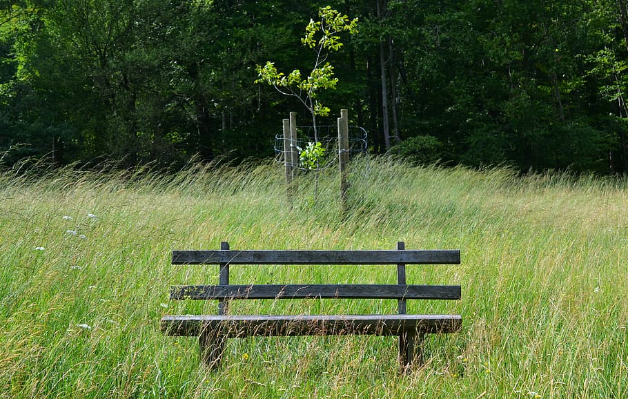 Grass, Sit, Wind, park bench, wooden bench, bank, rest pause HD wallpaper