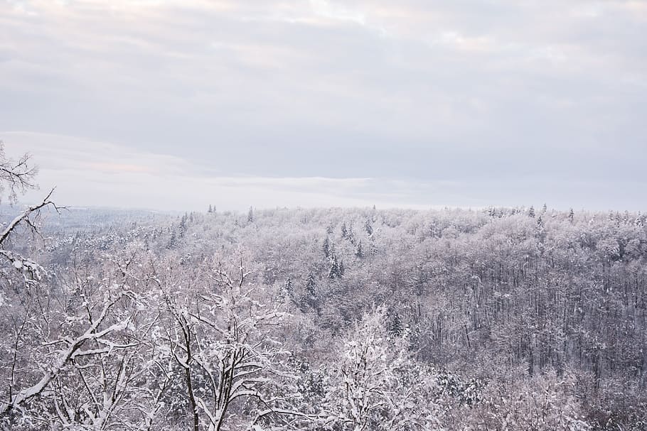 Winter snowy lanscape, landscape, nature, cold - Temperature HD wallpaper