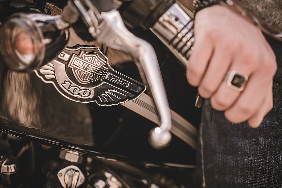 Harley-Davidson emblem, biker, harley davidson, 1200, custom, HD wallpaper