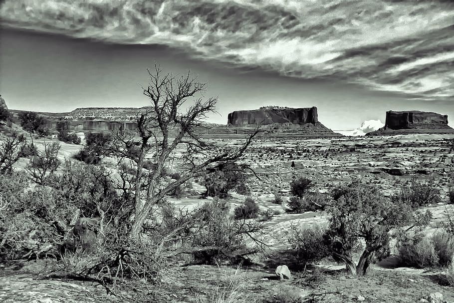 dramatic, spooky, desert, landscape, b w, rock, sky, cloud - sky HD wallpaper