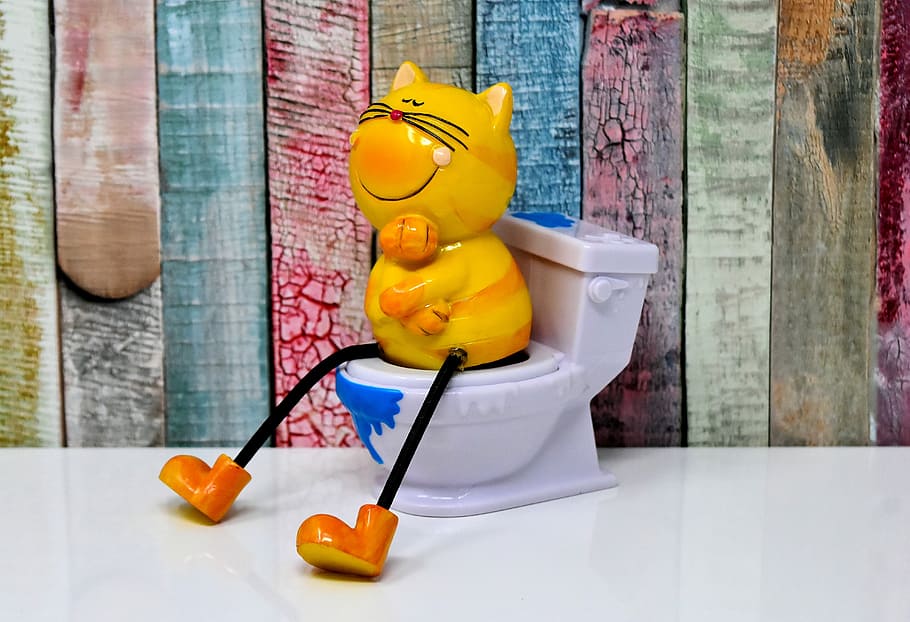 yellow cat sitting on toilet bowl figurine, litter box, figure