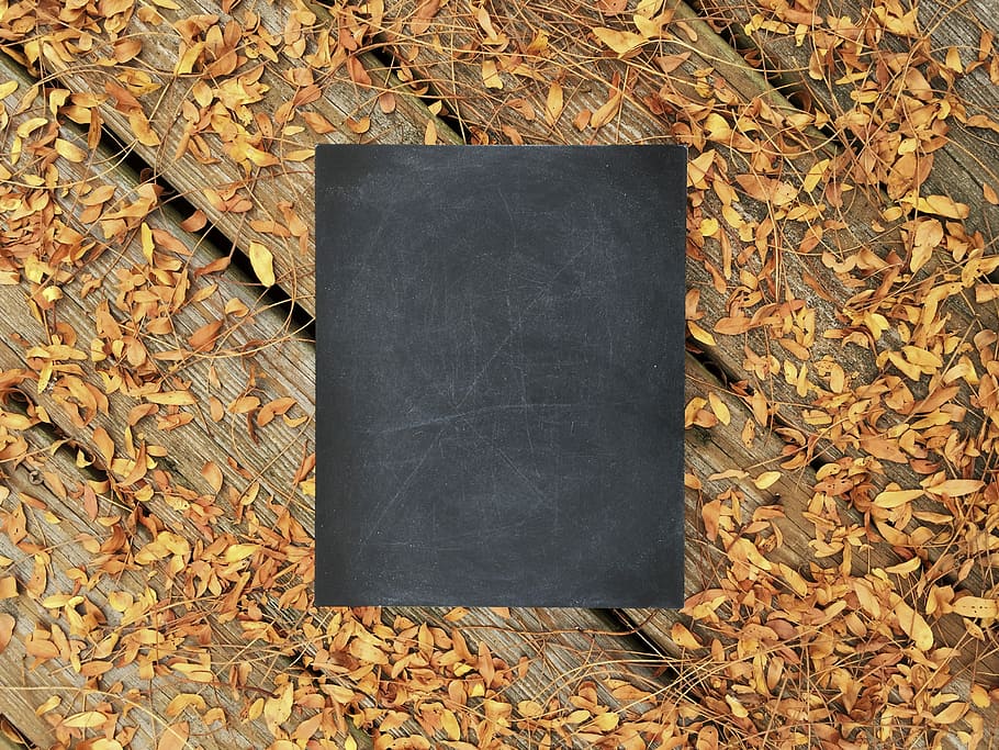 chalkboard on wooden surface with fallen leaves, black box on wooden surface covered with leaves HD wallpaper