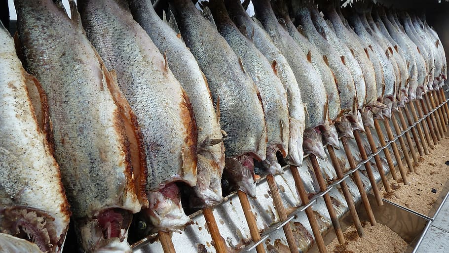 fish, cod, smoked, steckerlfisch, food, freshness, vertebrate HD wallpaper
