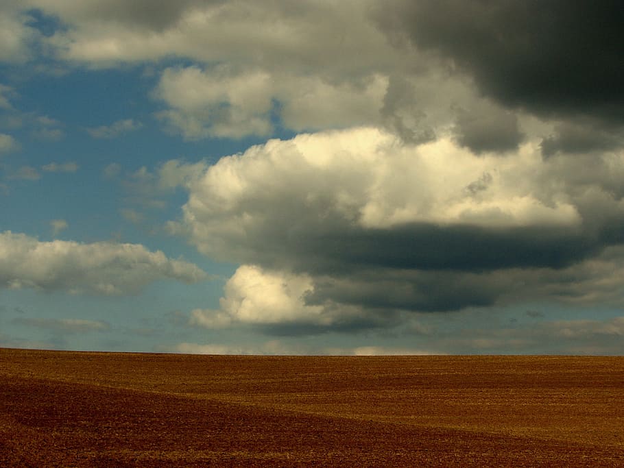 Field, Arable, Earth, Clouds, Sky, landscape, agriculture, fields HD wallpaper