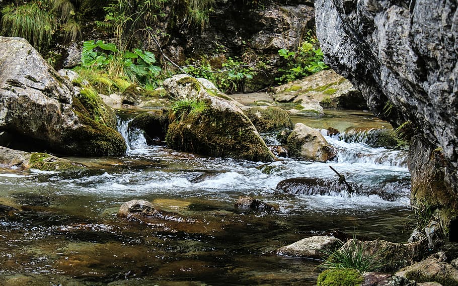 1920x1080px | free download | HD wallpaper: brook, creek, nature ...