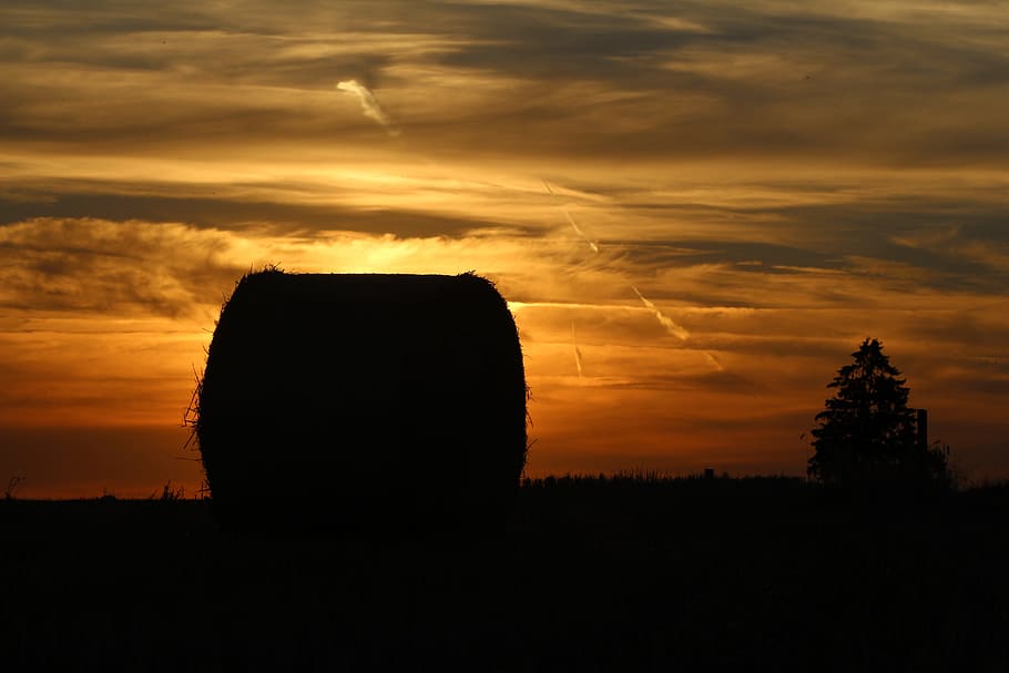 Tree, Straw Bale, Pasture, Sunset, colorful, outdoor, nature HD wallpaper