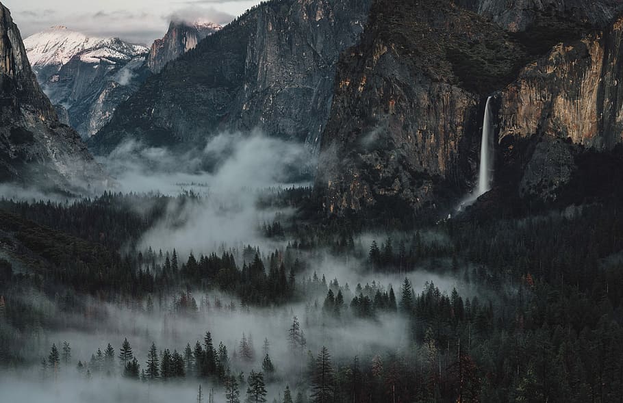 forest covered by mist, waterfalls near forest during daytime HD wallpaper