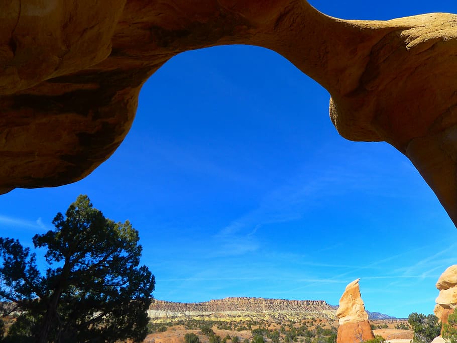 tree under mountain during daytime, utah, arch, trees, mountains HD wallpaper