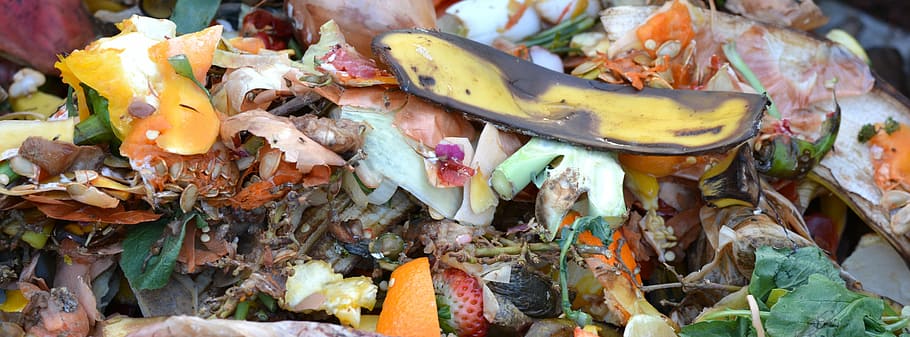 compost, fruit and vegetable waste, composting, banana peel, food, leaf, HD wallpaper