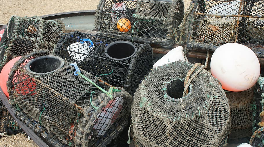 fishnet, green, just, nature, traps, ocean, water, fishing industry