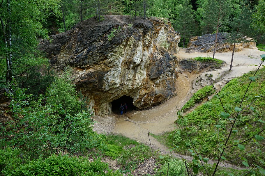 rock, cave, forest, mud, plant, tree, nature, growth, no people HD wallpaper