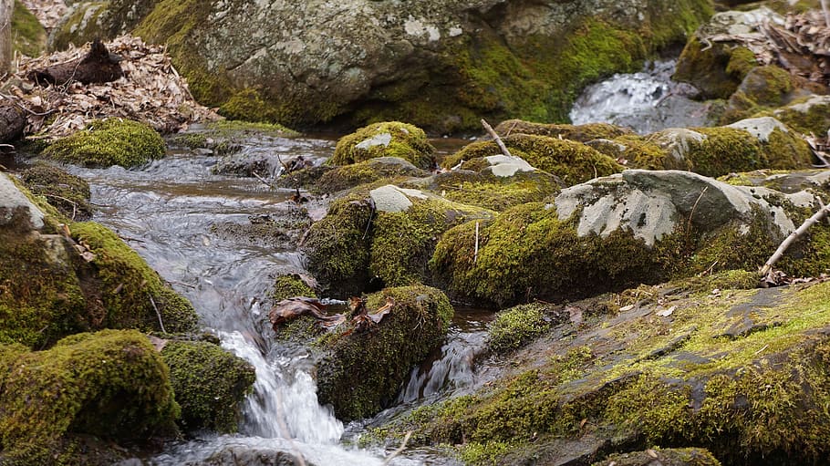 Creek, River, Flow, Water, Stones, pebbles, moss, cascade, tranquil HD wallpaper