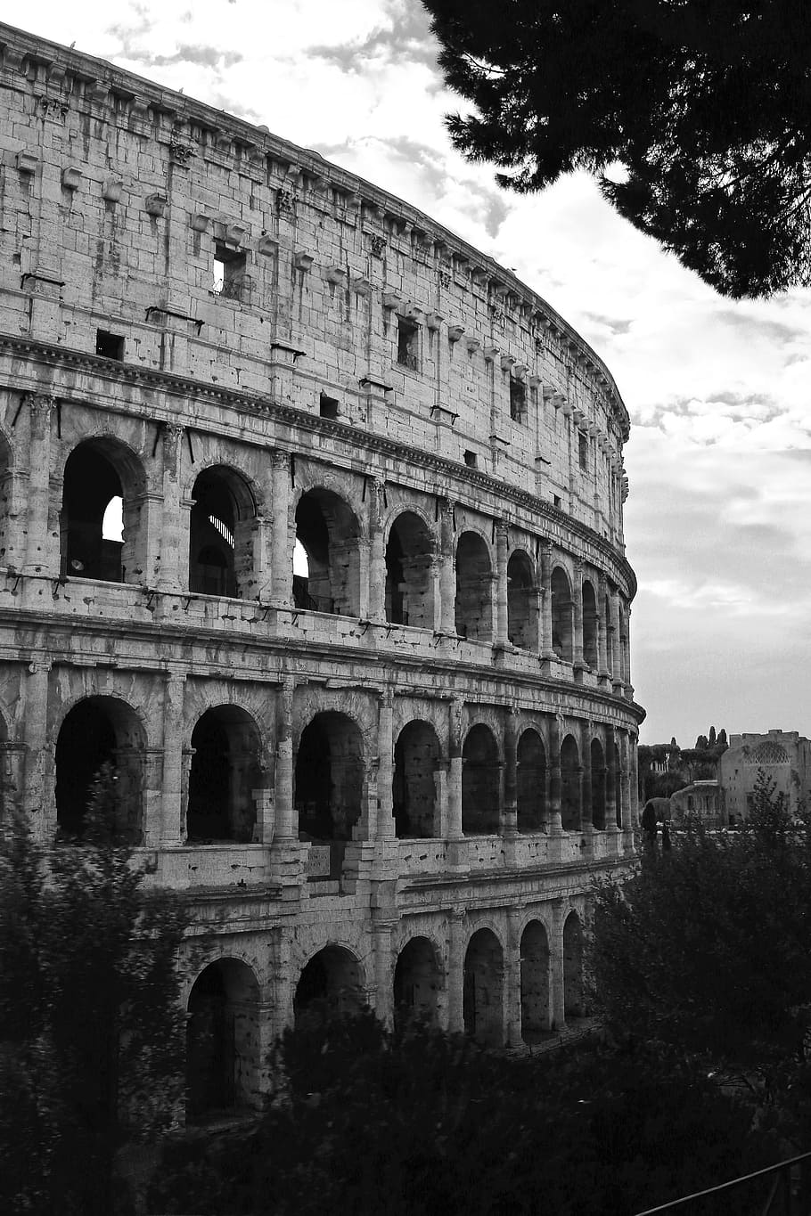 grayscale stadium and trees, coliseum, italy, rome, europe, roman