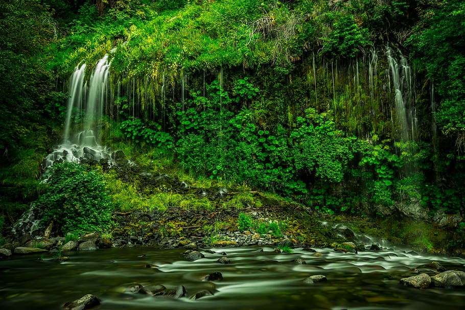 time lapse photography of multi-step waterfalls, waterfalls surrounded by trees HD wallpaper