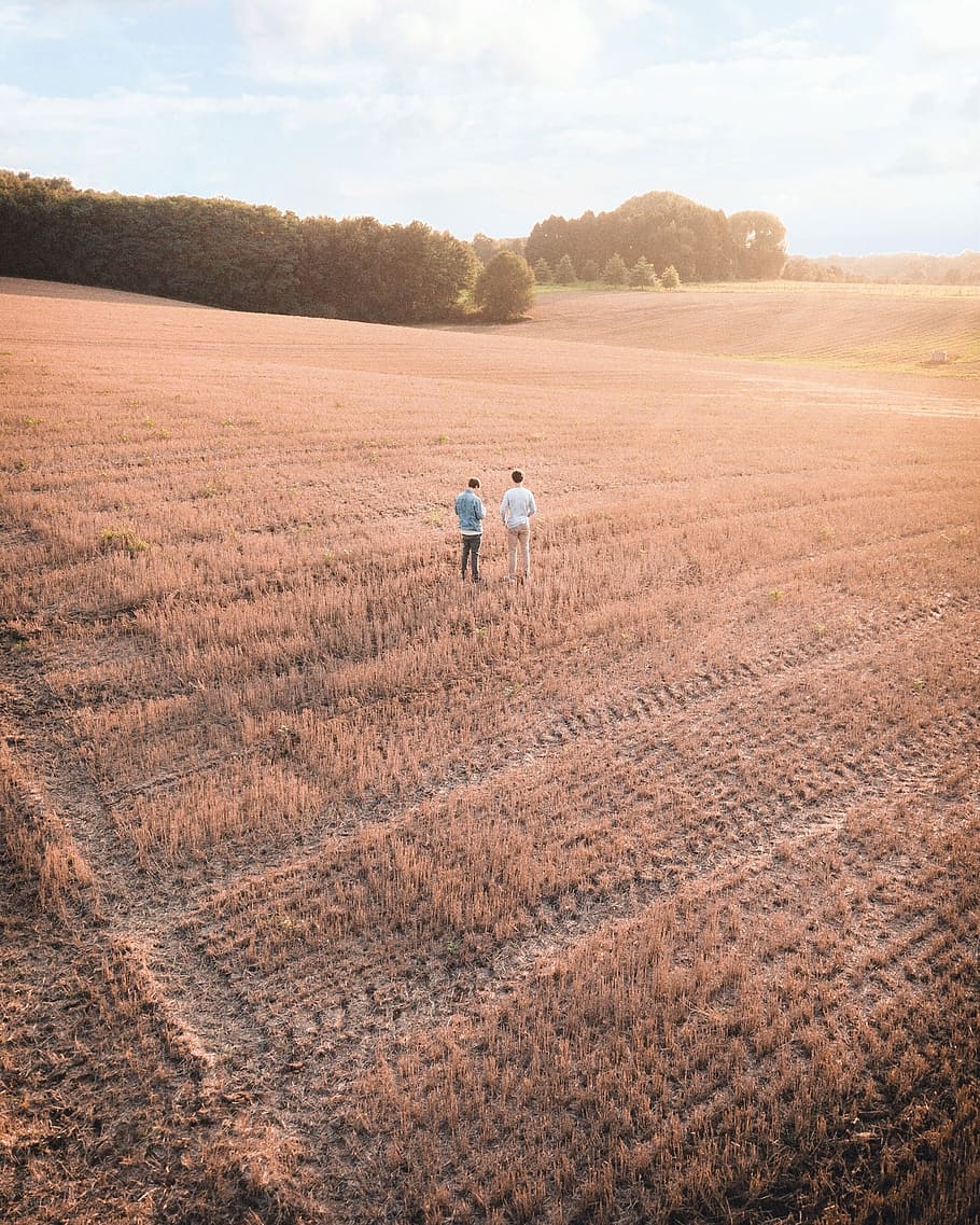 two men standing on ranch field, two man standing in the middle of the field HD wallpaper