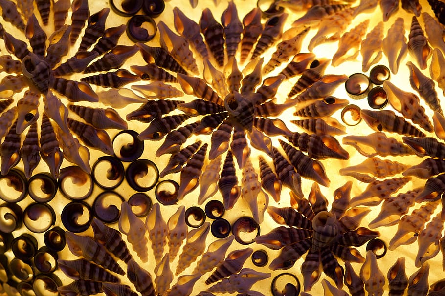 mussels, lamp, star, pattern, backgrounds, no people, full frame HD wallpaper