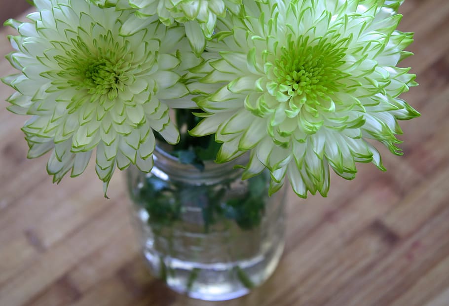 white-and-green flower center piece on vase, flowers, spring