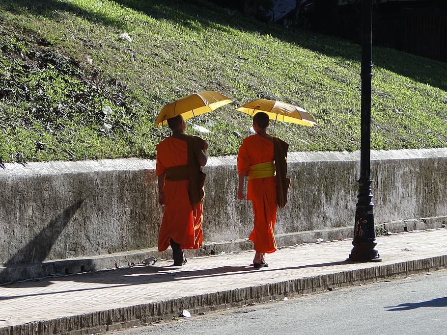 monks, laos, buddhism, real people, rear view, umbrella, full length HD wallpaper