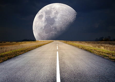 pathway in between grass field with moon background, full moon HD wallpaper