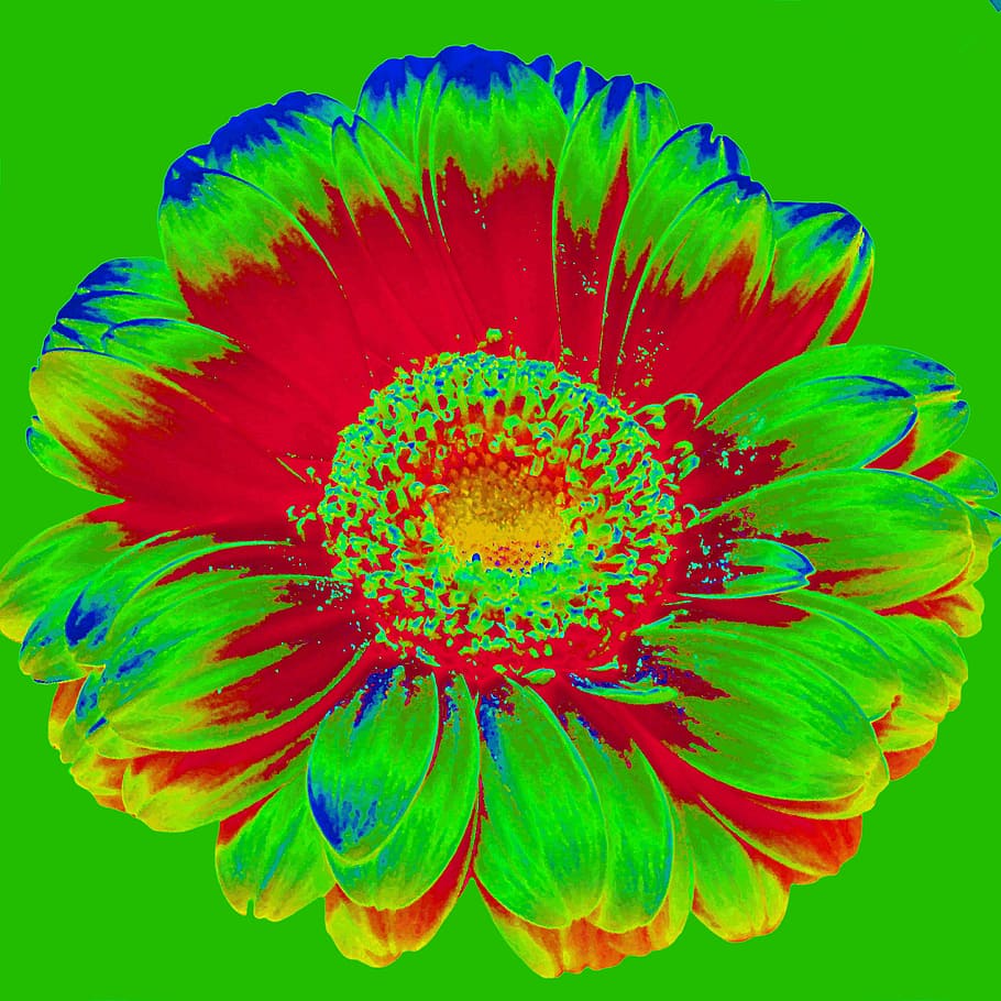 retro, colorful, decoration, texture, art, background, 70, flower HD wallpaper