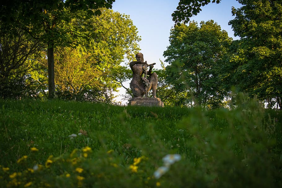 the statue, grass, tree, green, poland, vegetation, zielona gora HD wallpaper